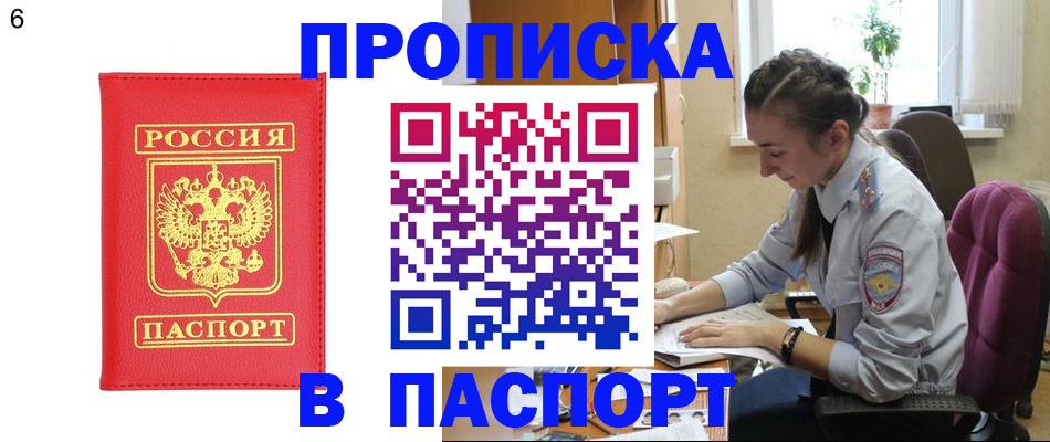 прописка гарантия в Камчатской области