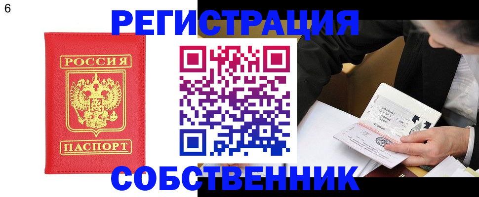 временная регистрация поиск в Камчатской области